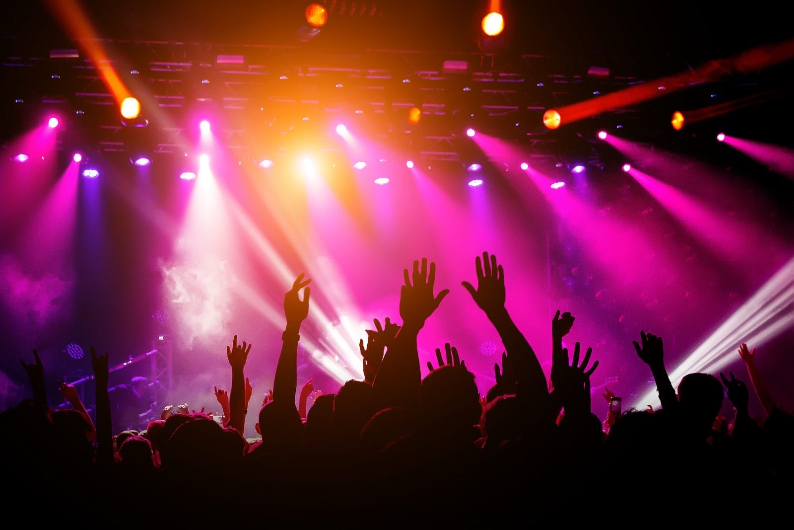 People, crowd on concert. Purple light from stage